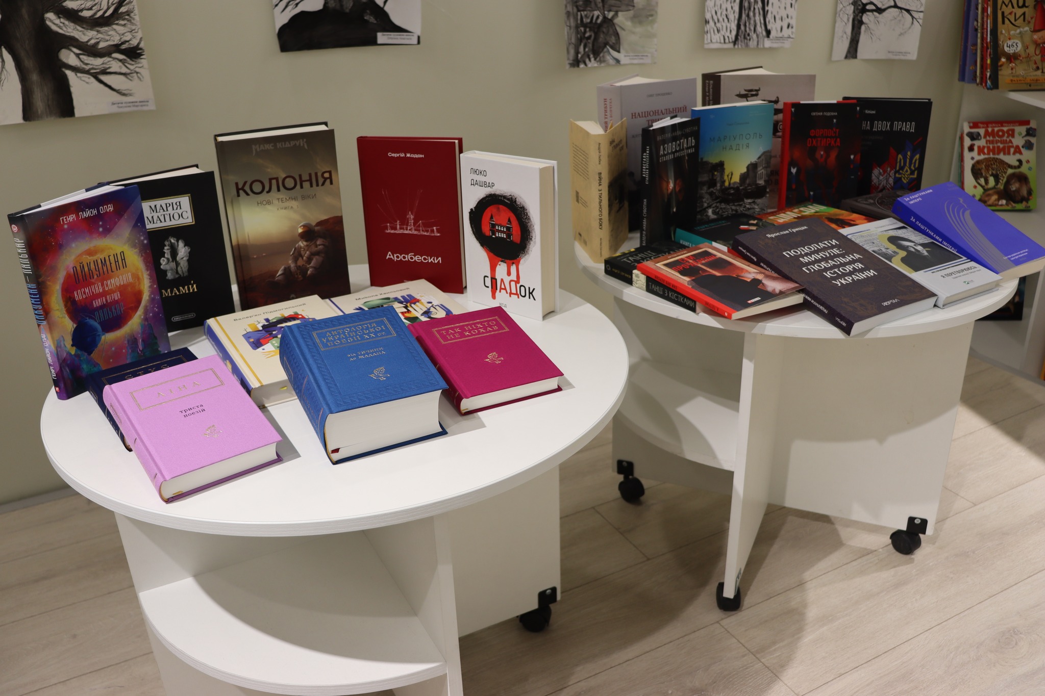 During the pre-New Year and Christmas holidays, the Central City Library received 100 copies of printed publications from the group "Information Resistance"